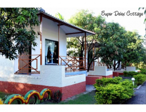 Glorious Gir Resort, Bhojde, Junagadh